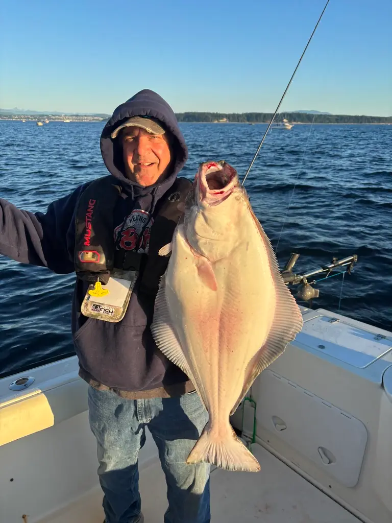 man displaying his large halibut catch
