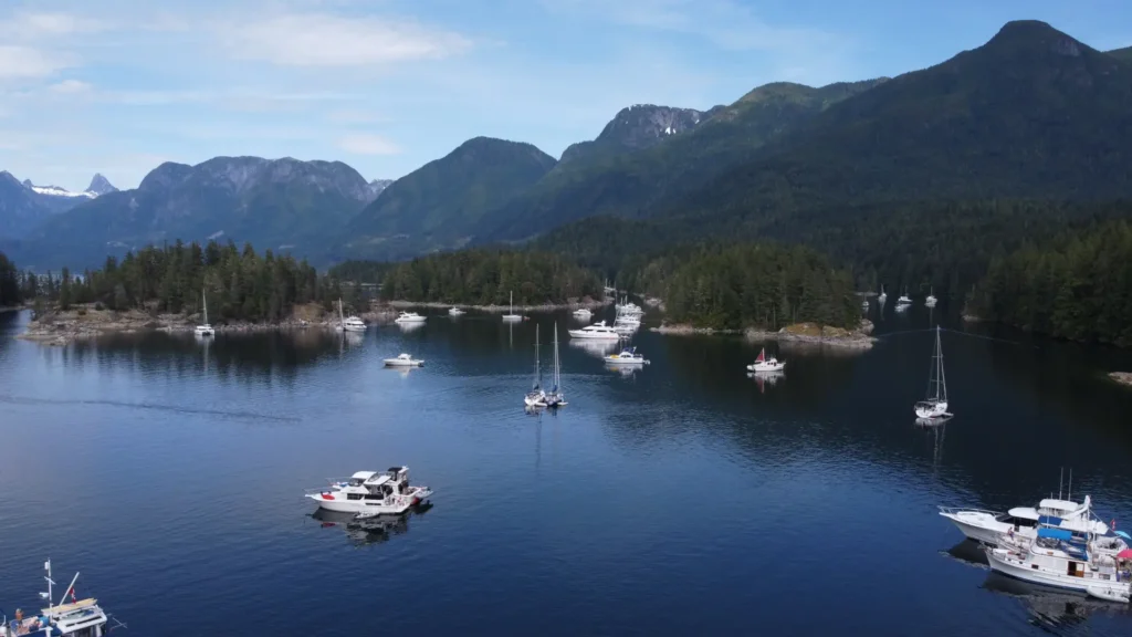 Busy bay off Vancouver Island 